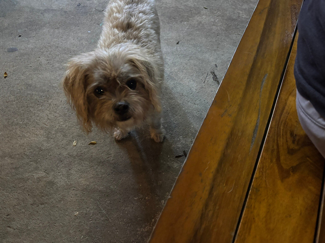 Hotel Rio Lindo主图