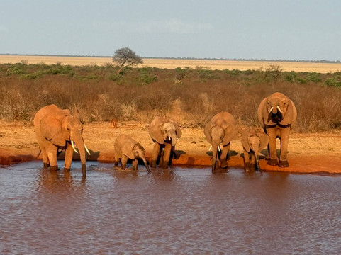 Kenya con Abdul-马林地必去景点