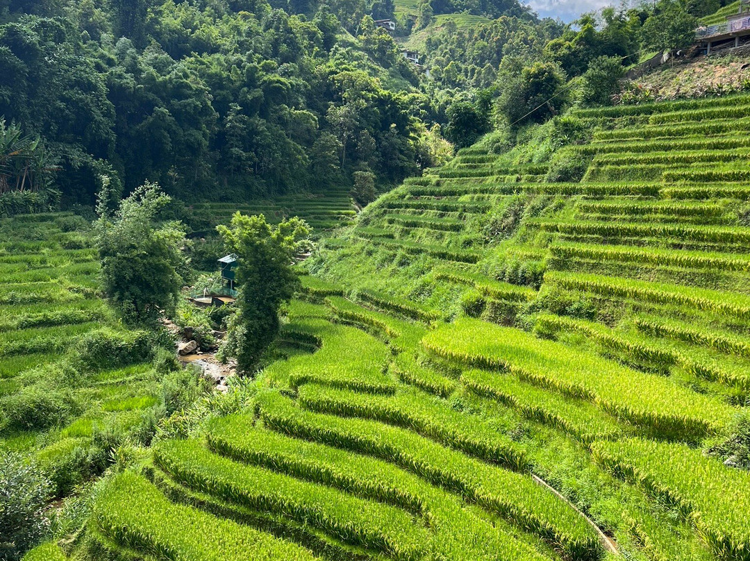 Vietnam Dragon Travel-河内必去景点