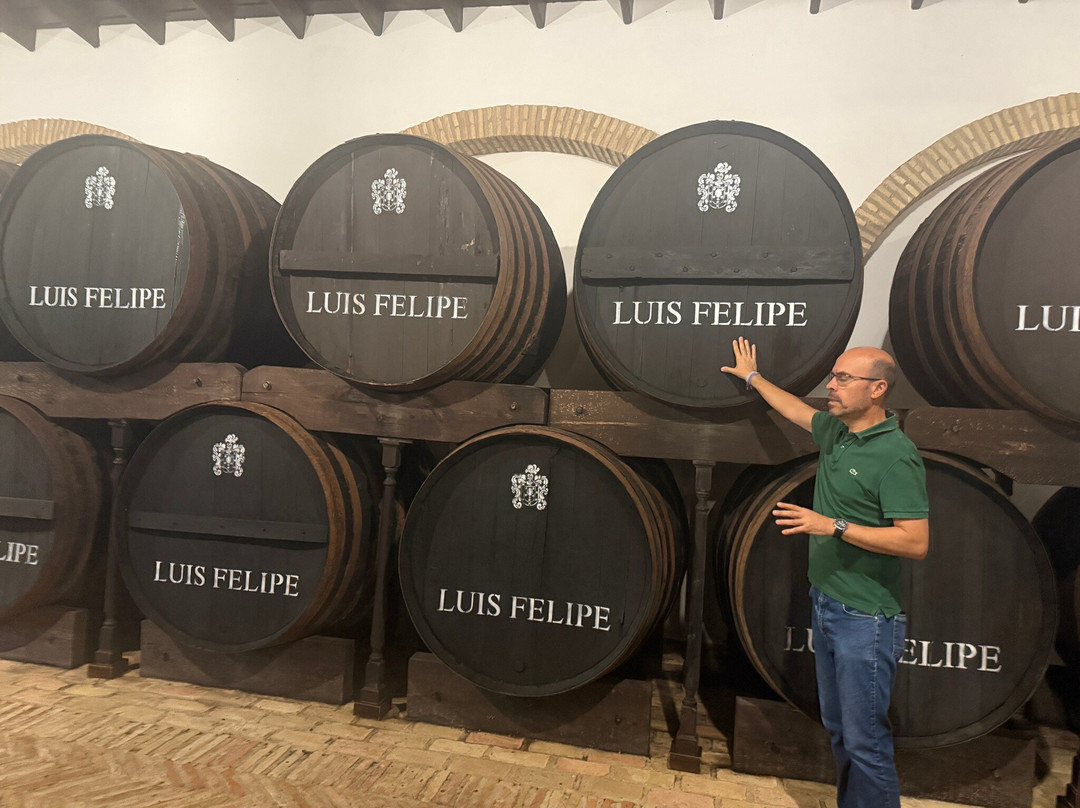 Bodegas Rubio-La Palma del Condado必去景点