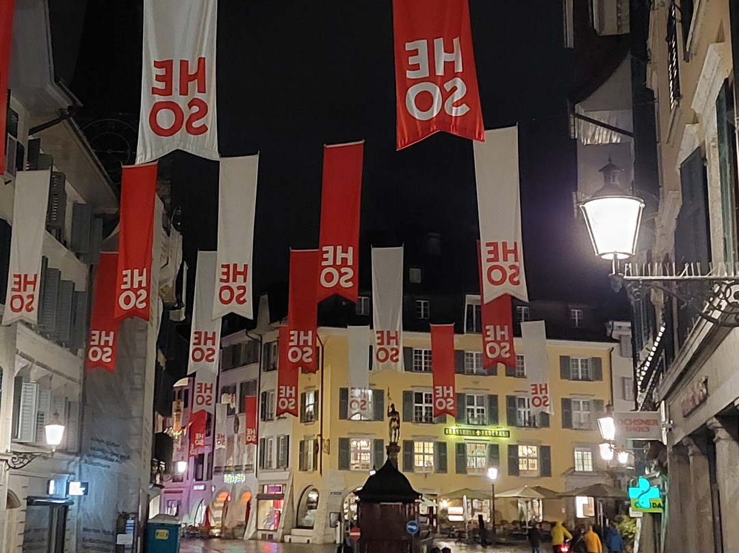 Fischbrunnen (St. Ursen-Brunnen)-Soleure必去景点