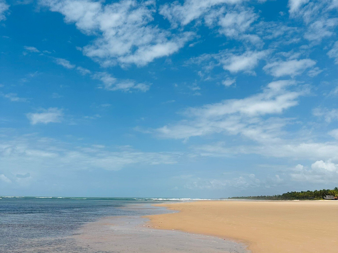 Algodoes Beach-Barra Grande必去景点