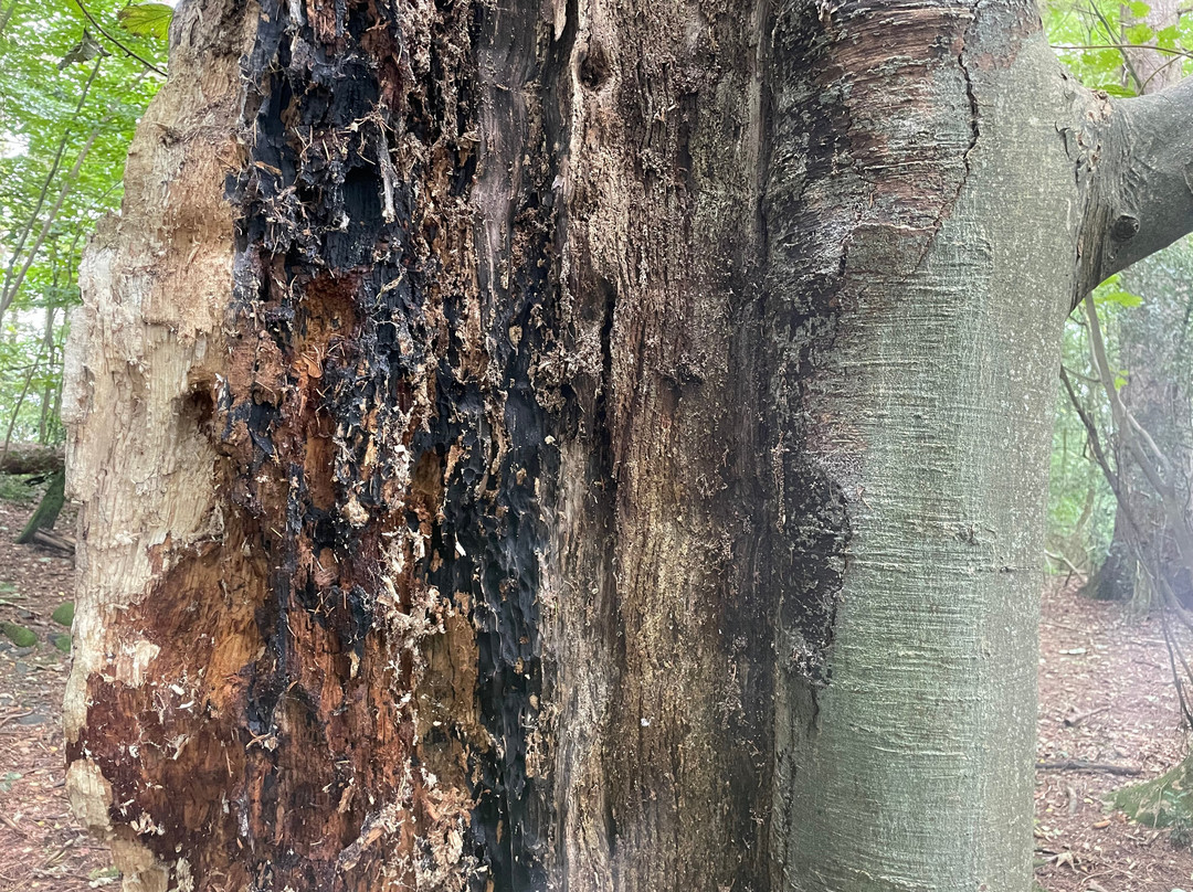 Keswick Canoe and Bushcraft-凯瑟克必去景点