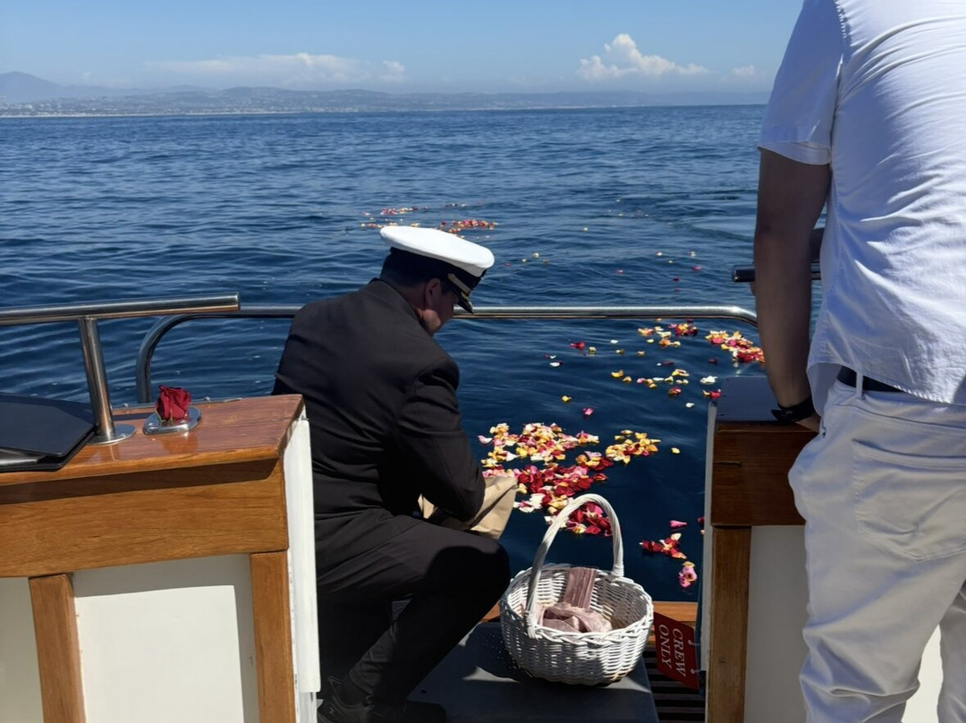 Paradiso Yacht Charters-纽波特海滩必去景点