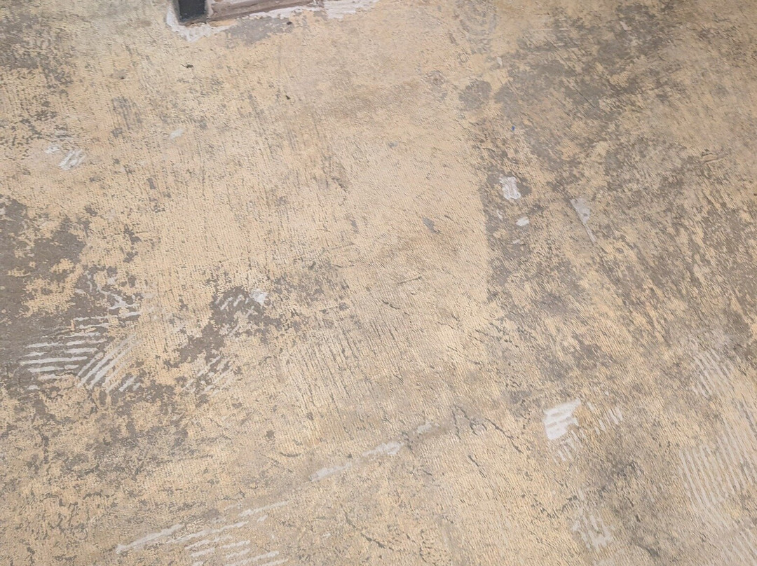 Best Western Baraboo Inn主图