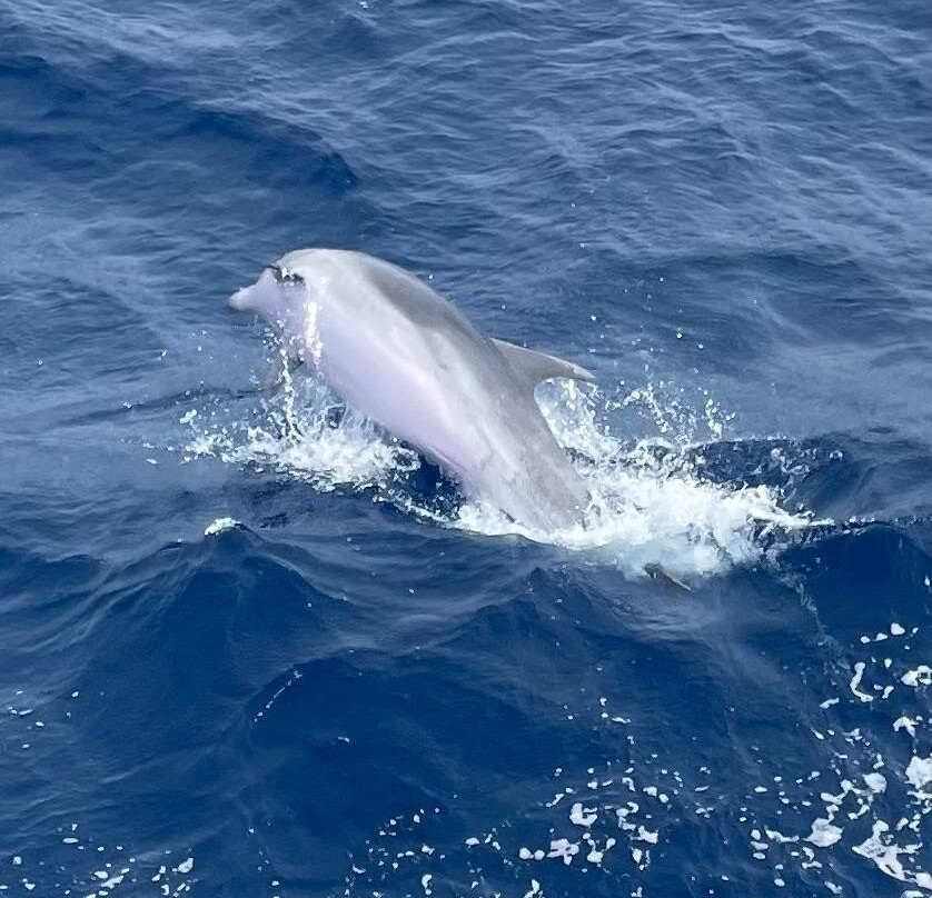 Perfect Travel Croatia-杜布罗夫尼克必去景点