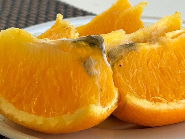 Bluesun Hotel Alga-官方