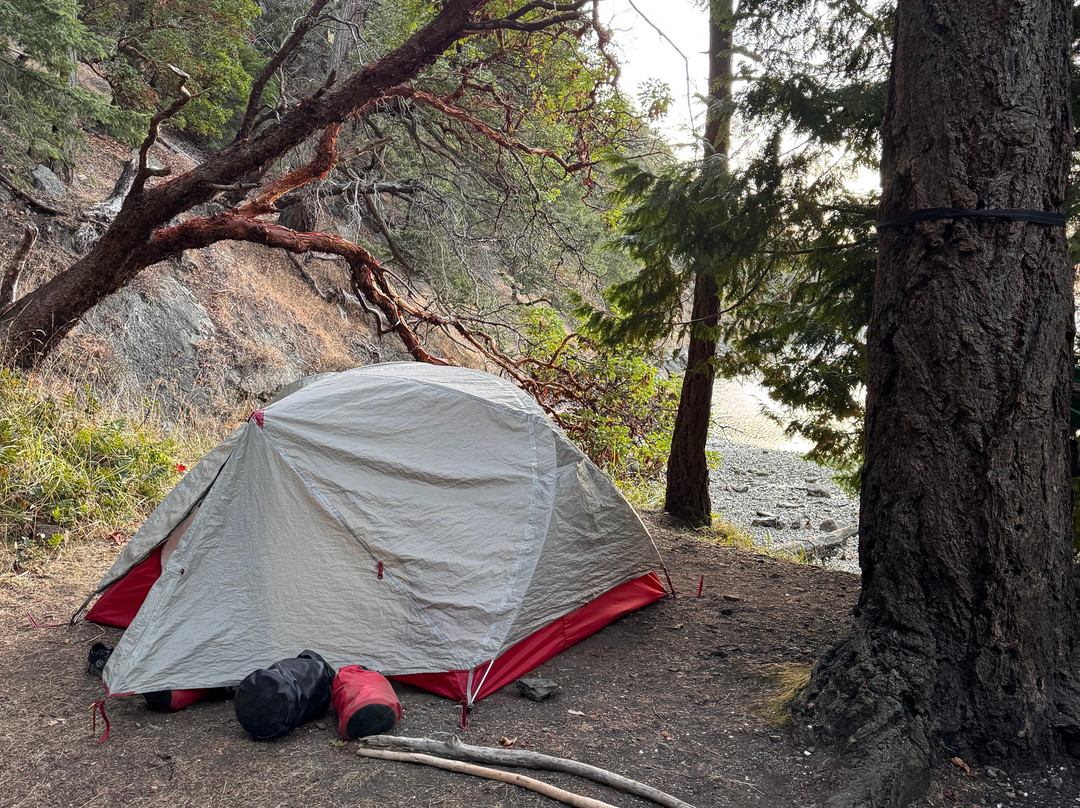 Crystal Seas Kayaking - Day Tours-星期五港湾必去景点