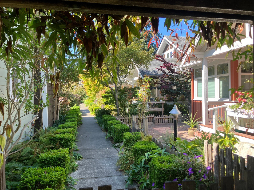 Bainbridge Island Downtown-班布里奇岛必去景点