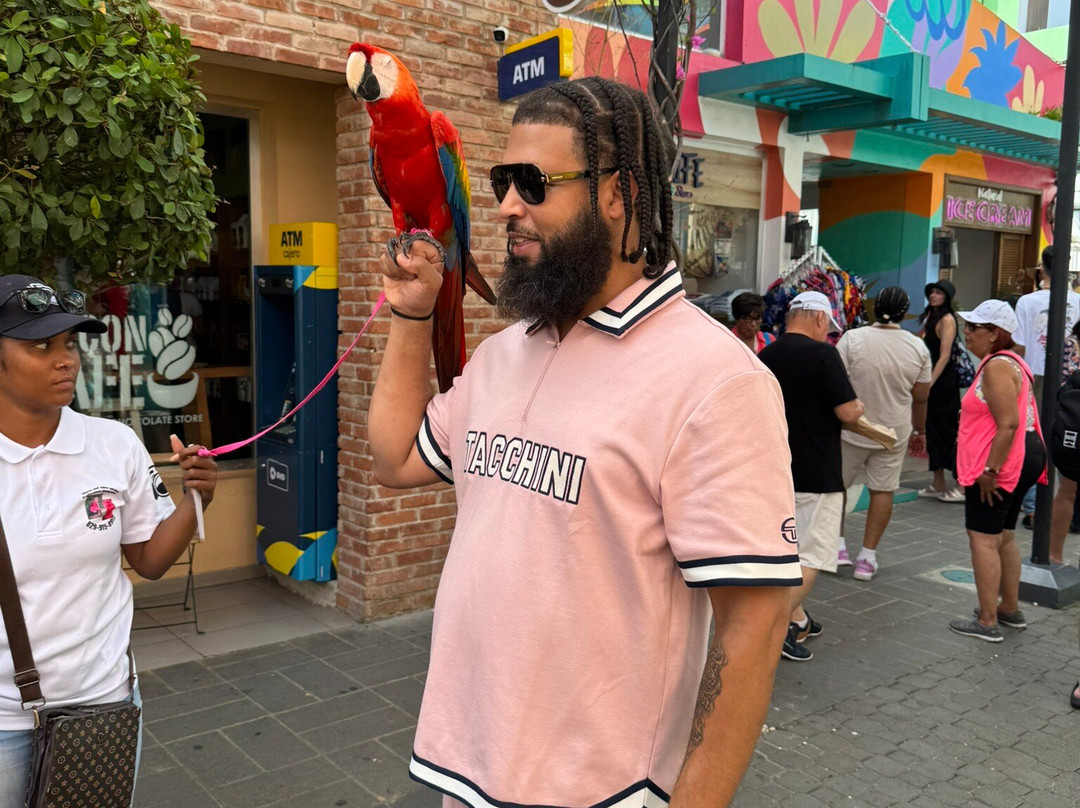 Umbrella Street-普拉塔港必去景点