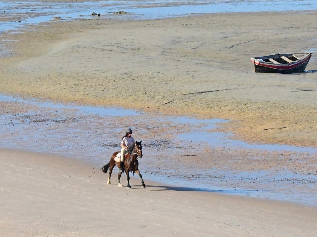 Mozambique Horse Safari-Vilanculos必去景点