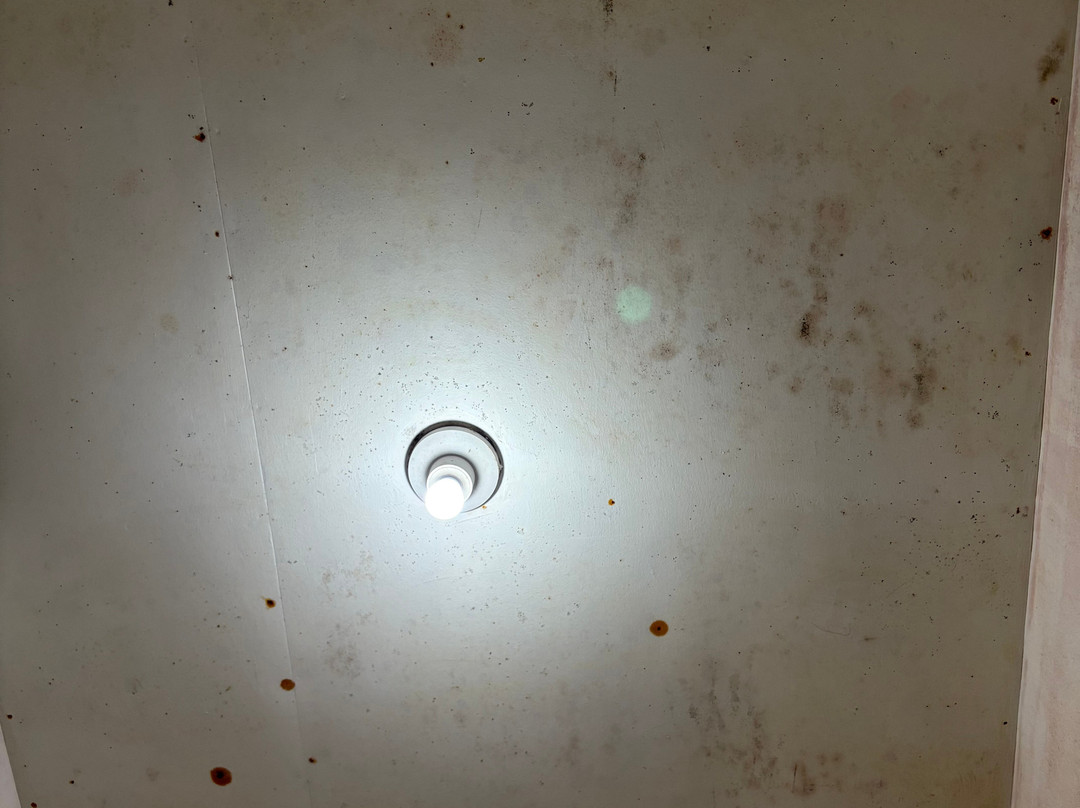 SM Bromo Hotel主图