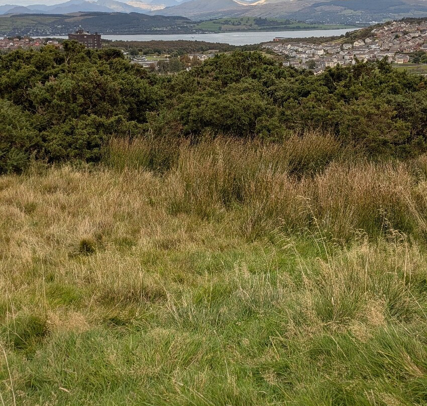 Greenock Cut Visitor Centre-Greenock必去景点