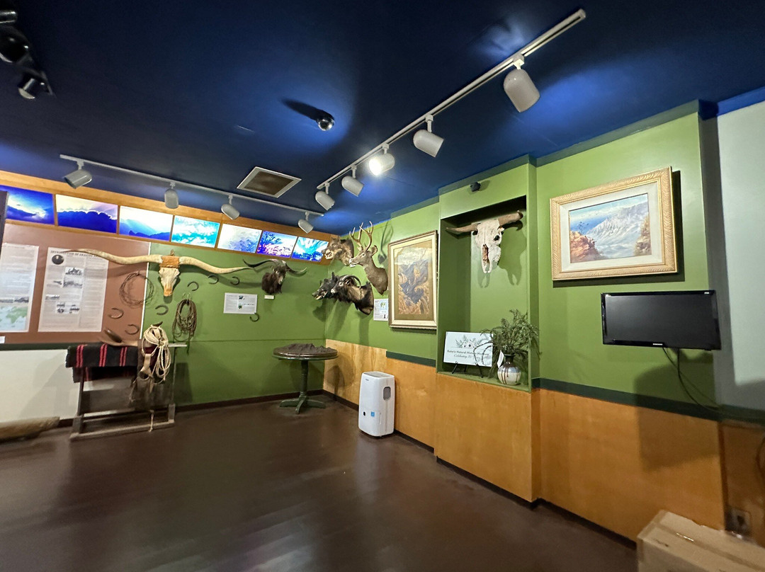 寇基自然历史博物馆-科卡哈必去景点