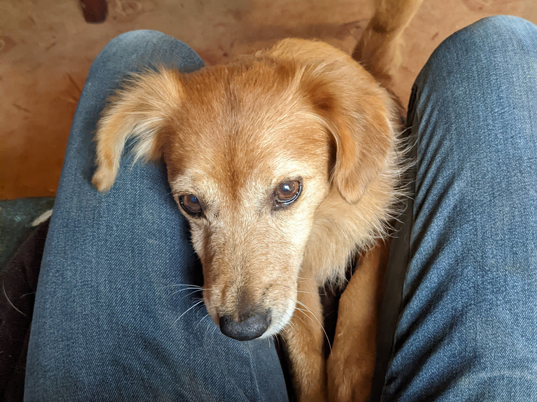 Cintsa Horses-Chintsa West必去景点