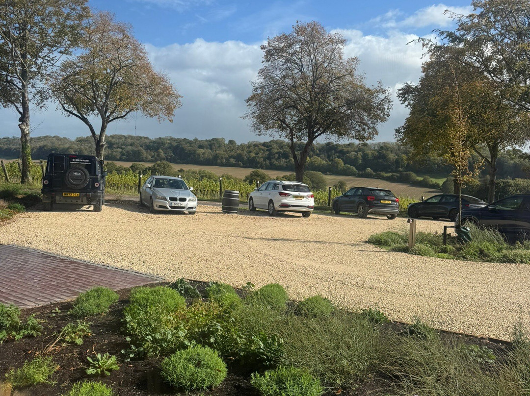 Hambledon Vineyard-Hambledon必去景点