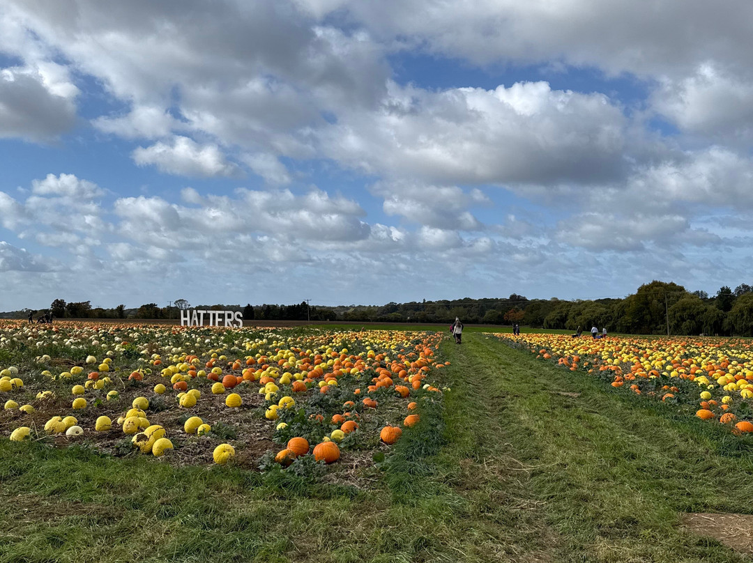 Hatter's Farm-Bishops Stortford必去景点