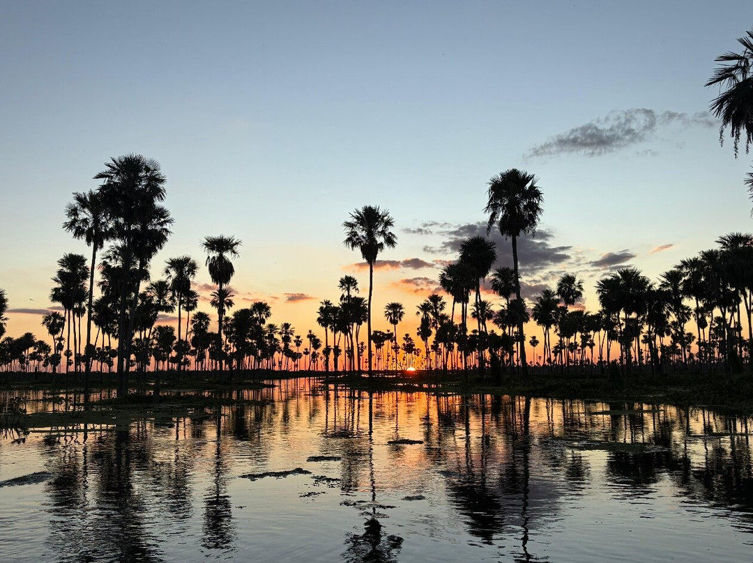 Bañado La Estrella-Las Lomitas必去景点