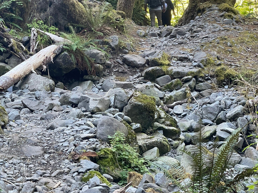 Lovers Lane trail-安吉利斯港必去景点