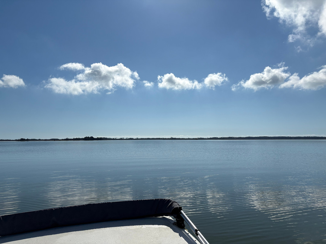 Riptide Pony Tours-Chincoteague必去景点