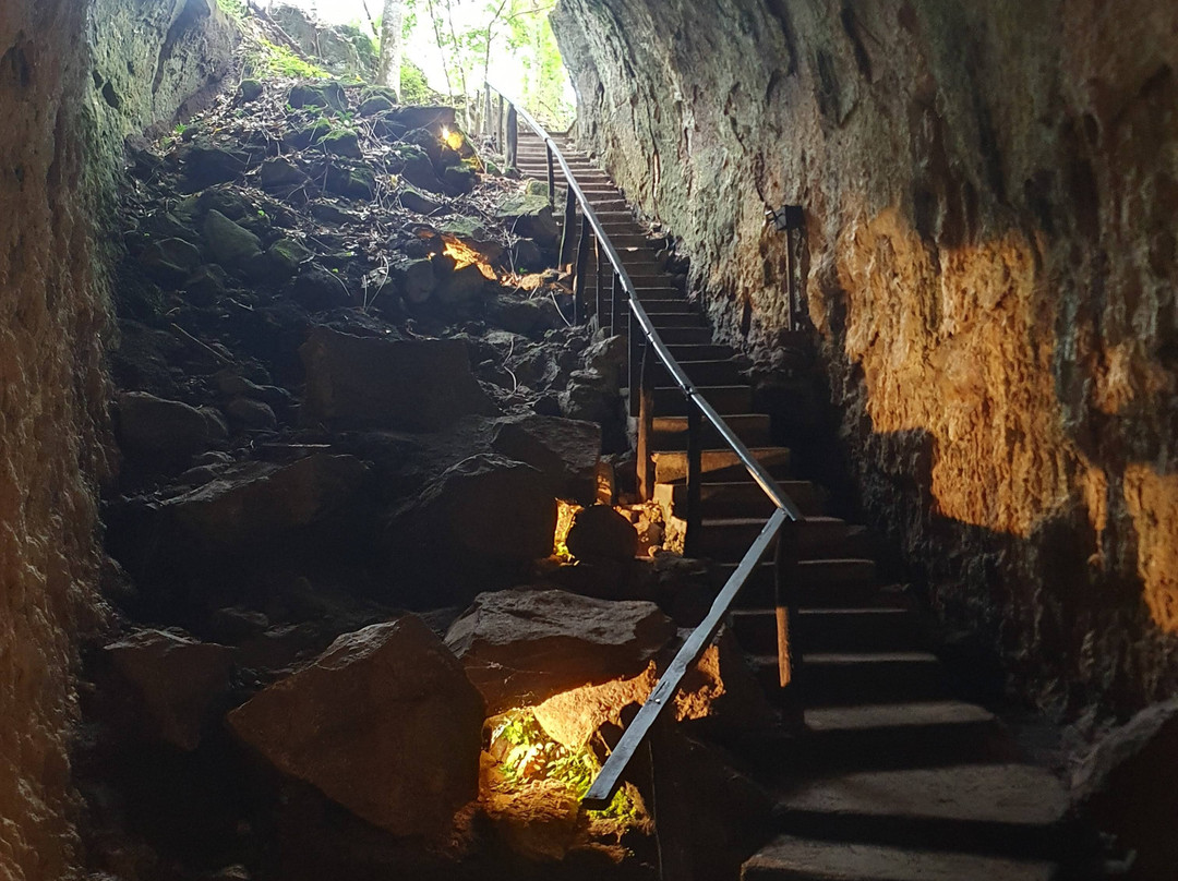 Lava Tunnel-圣克鲁斯必去景点