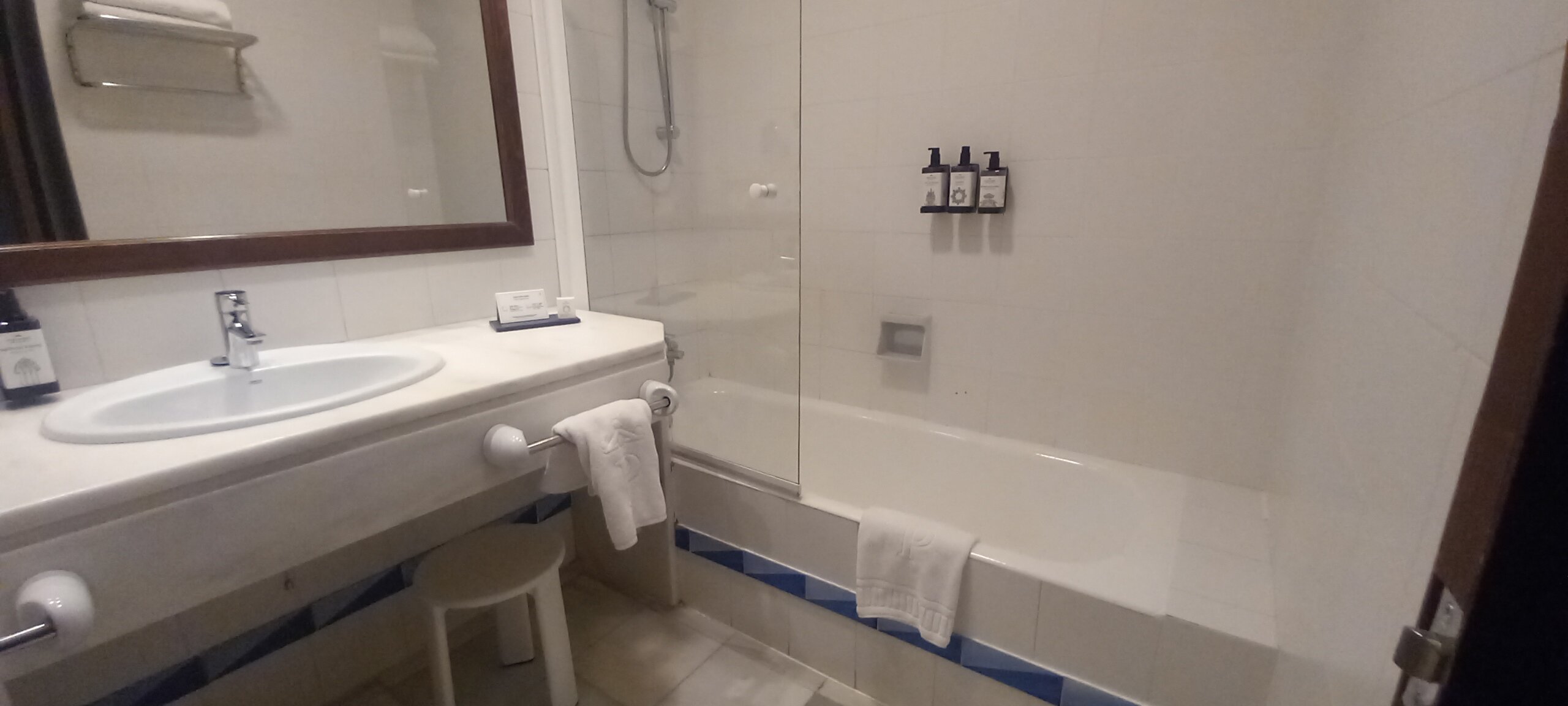 曼萨纳雷斯旅馆-浴室