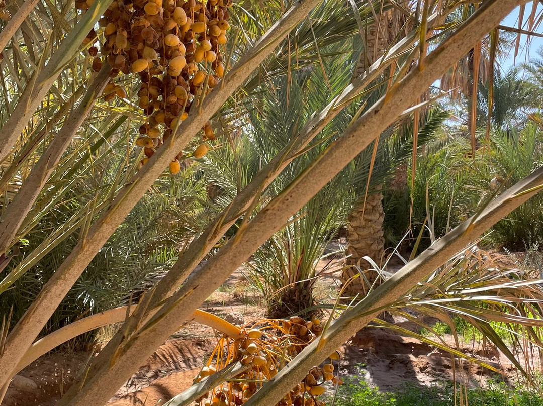 Rutas Al Desierto-马拉喀什必去景点