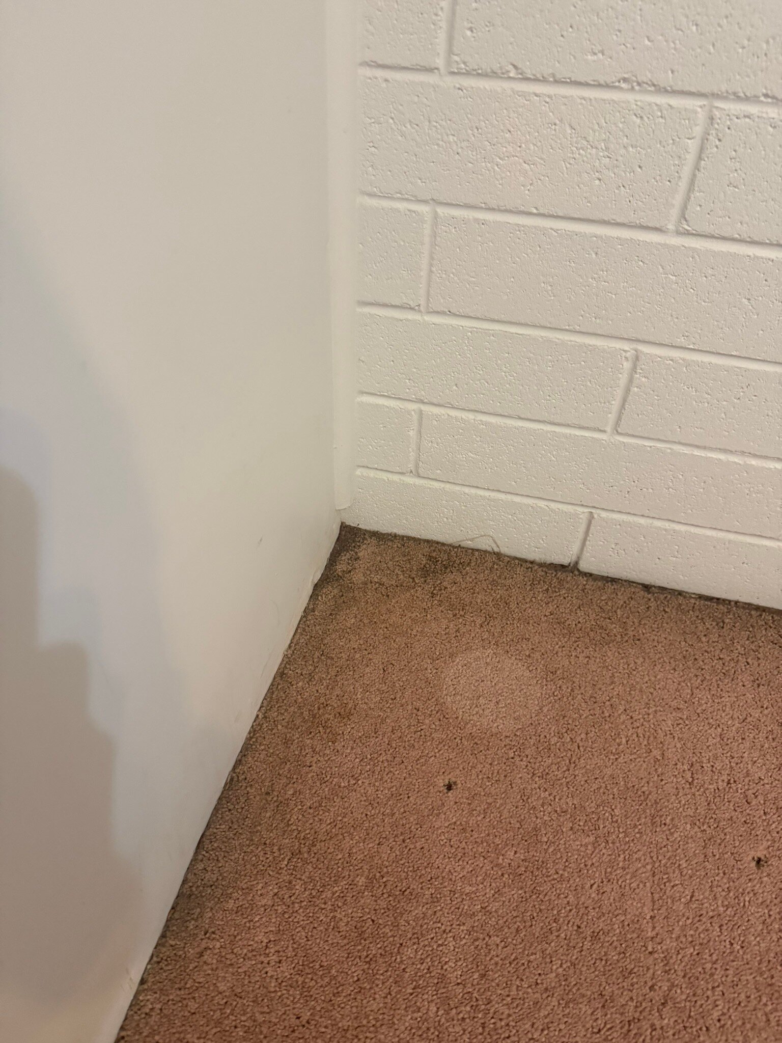 Peterborough Motel-官方