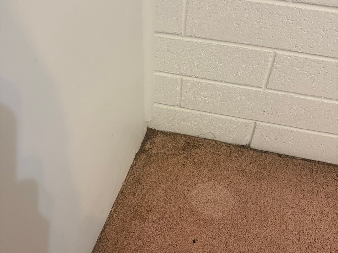 Peterborough Motel主图