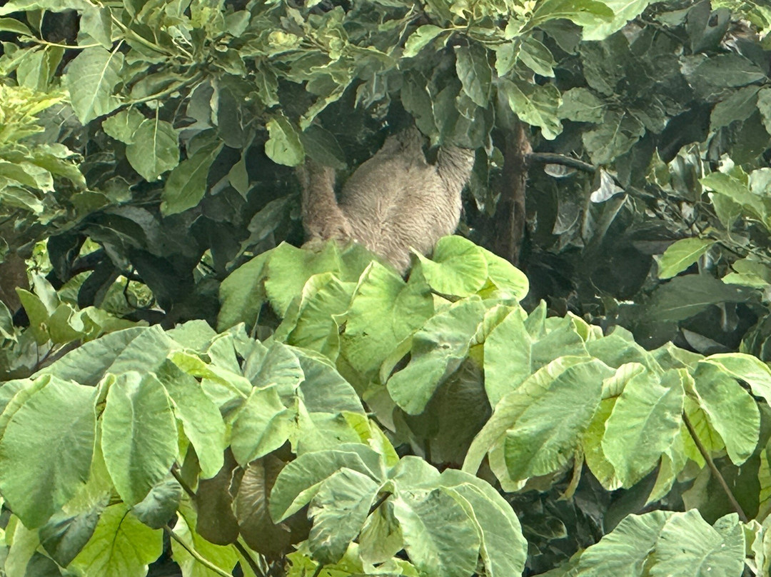 La Terraza Café-Bar-Restaurante