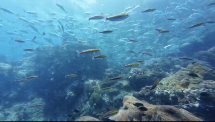 The Divers Boat Koh Phangan-Ban Tai必去景点