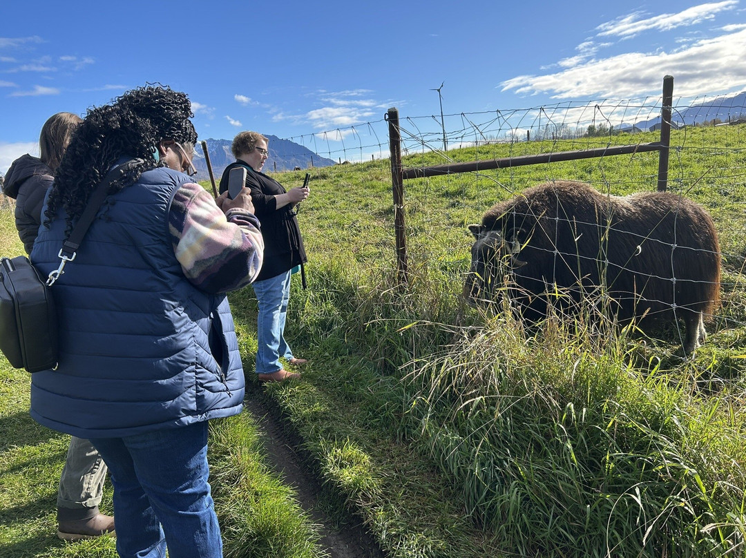 Musk Ox Farm-帕尔默必去景点
