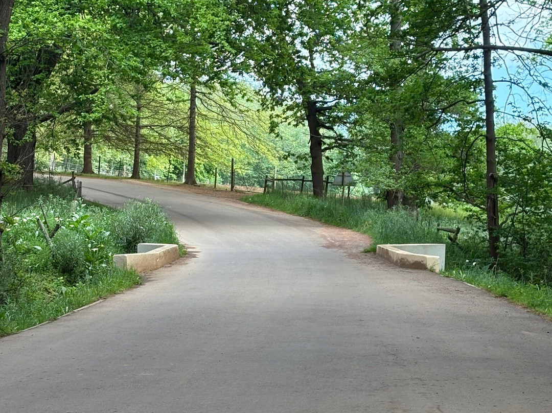 Oak Valley Estate-Elgin必去景点