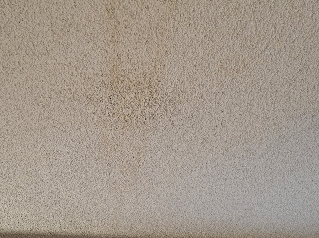 La Quinta Inn & Suites by Wyndham Orange County Airport主图