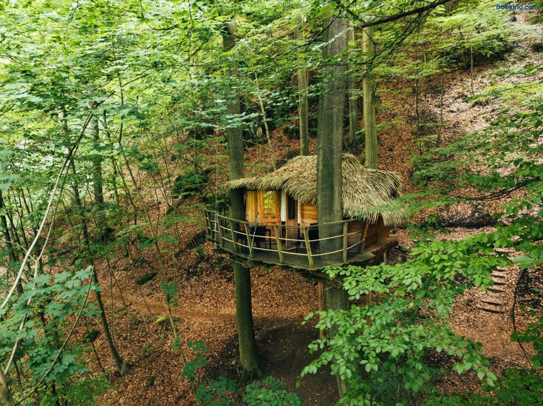 Treehouse Trencianske Teplice