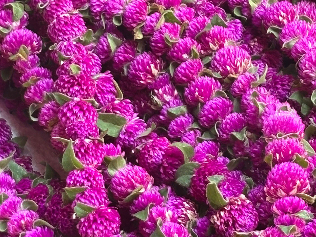 Mantrayana Travel Di Pezzotta Fabrizia-Gravesano必去景点