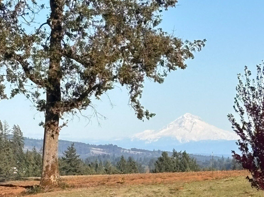 Stoller Family Estate-Dayton必去景点