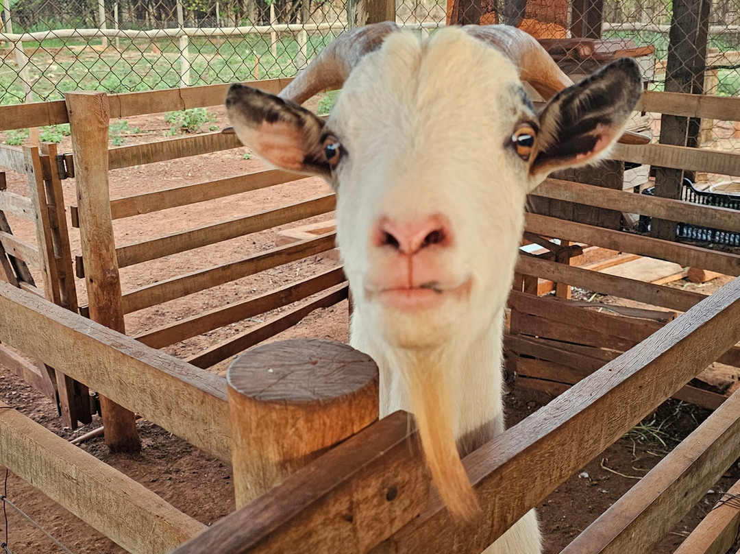 Bio Park-博尼图必去景点