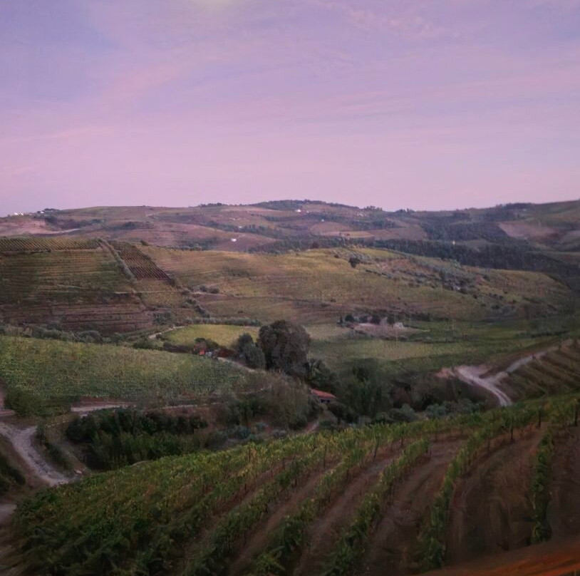 Quinta da Faísca-Favaios必去景点