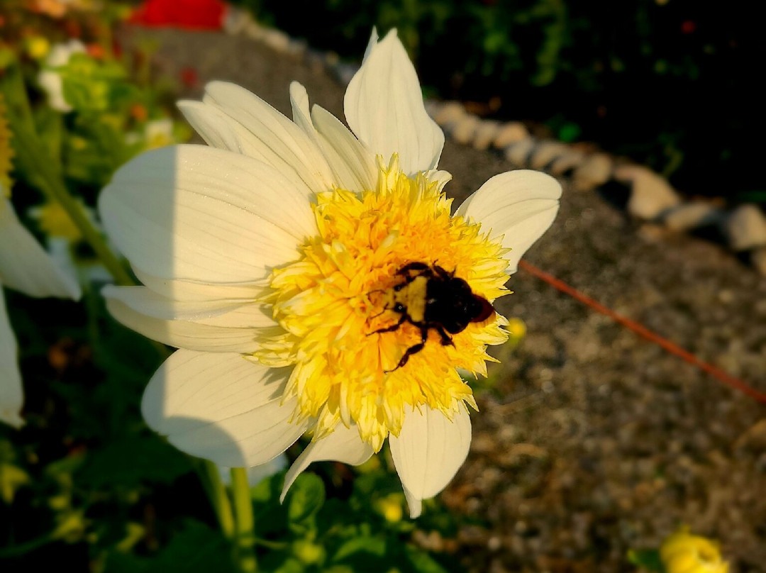 Lagriōth Winery at Chelan Valley Farms-Manson必去景点