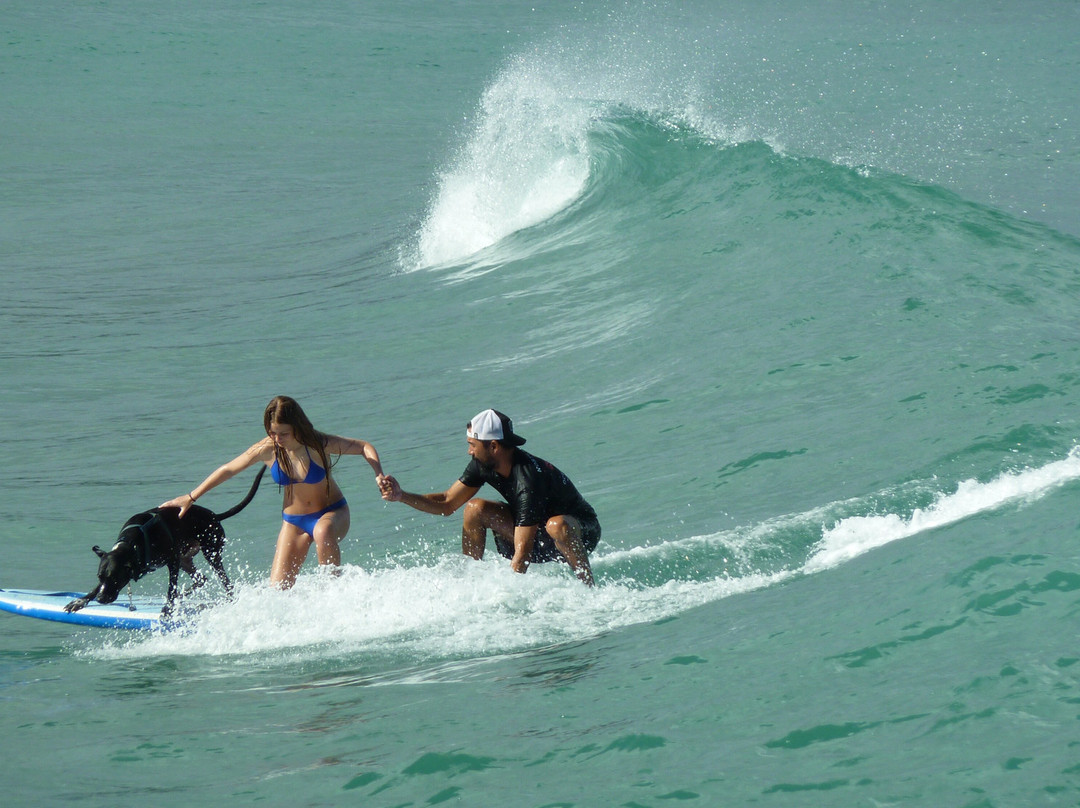 N.S.O.G. North Shore Ocean Guides-卡胡库必去景点