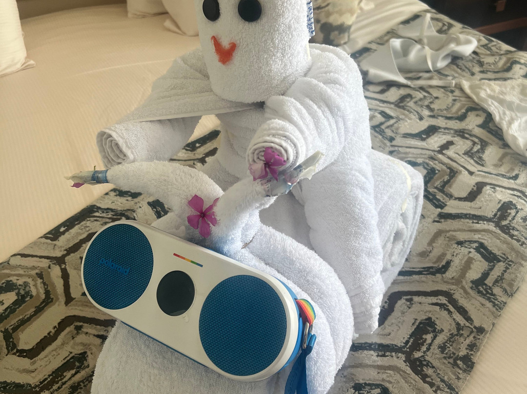 Pickalbatros White Beach Taghazout主图