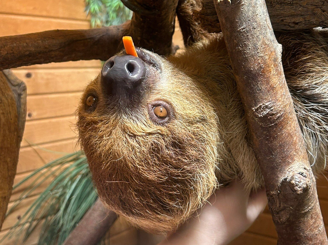 Safari Zoological Park-Caney必去景点