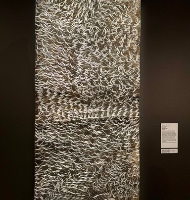 澳大利亚北部博物馆与美术馆-达尔文市必去景点