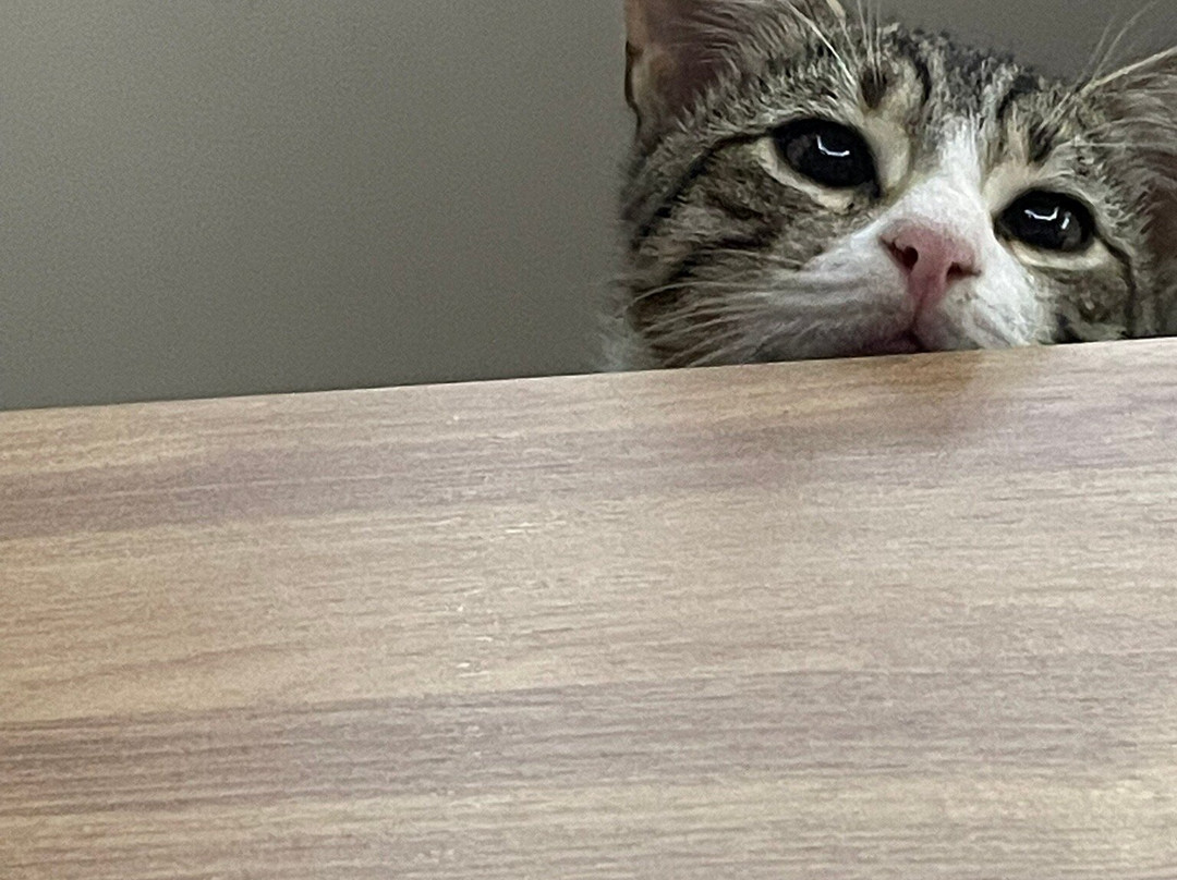 Nirvana Beach Hotel主图