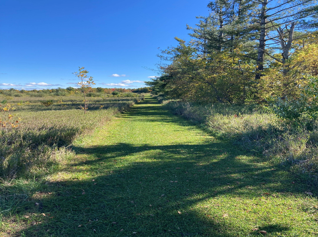Mystery Valley Karst Preserve and Nature Sanctuary-Posen必去景点