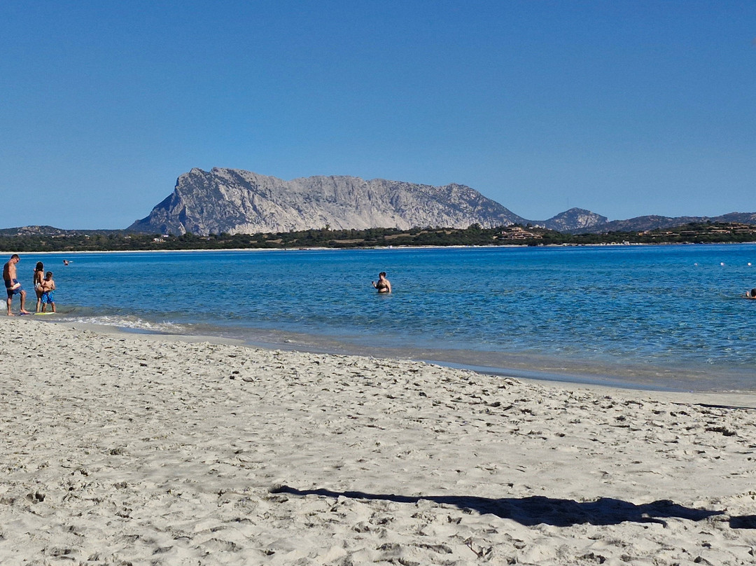 Hotel Terradimare Resort & Spa