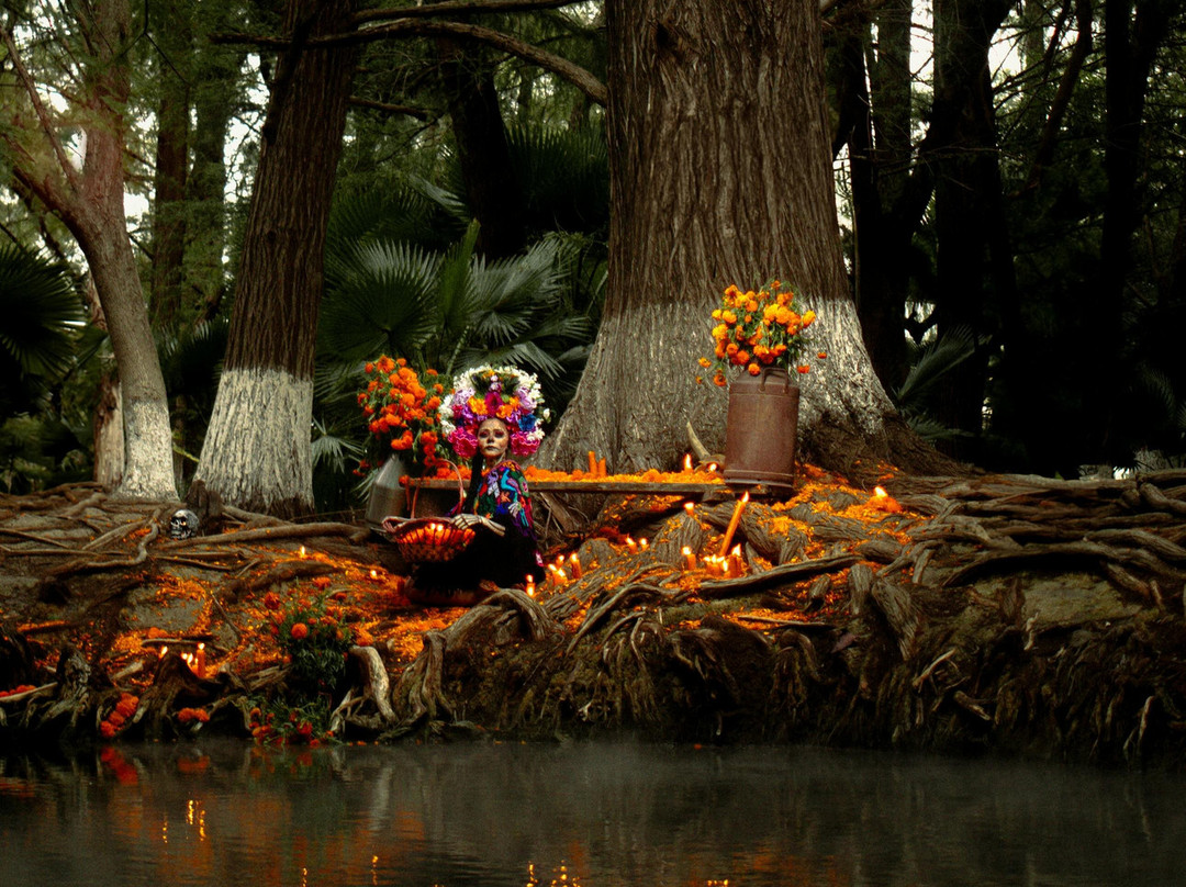 Mexique Découverte-坎昆必去景点