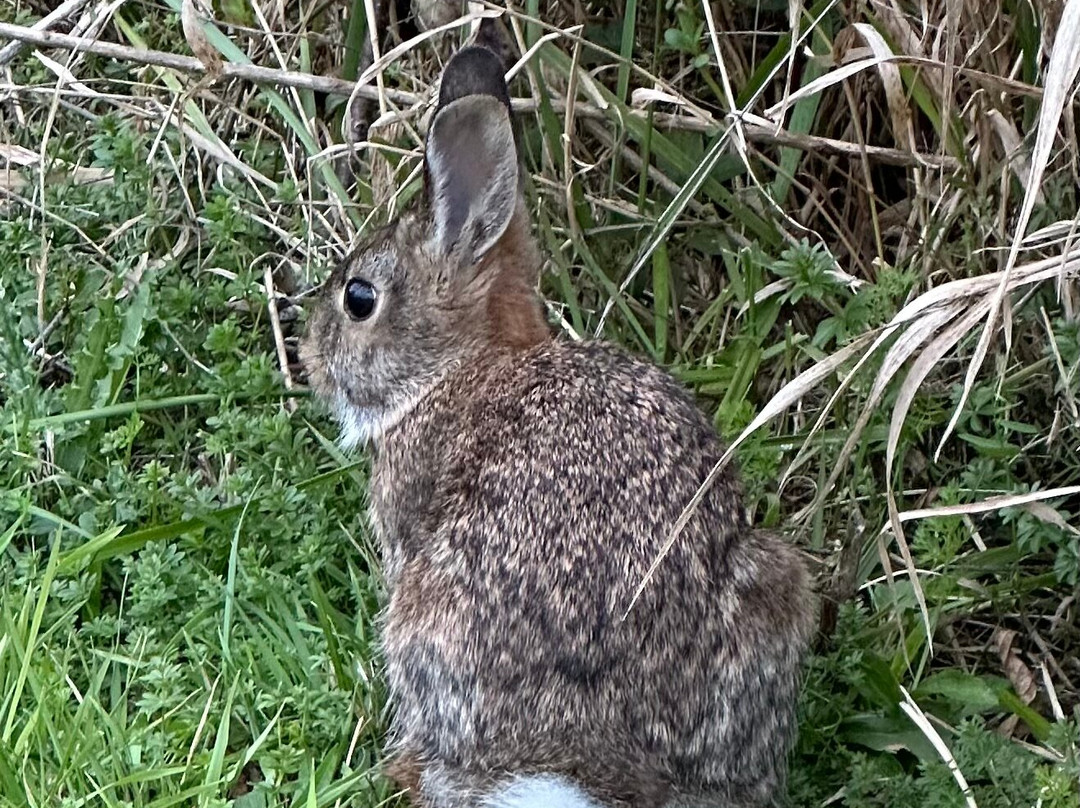 The Century House, Ascend Hotel Collection主图