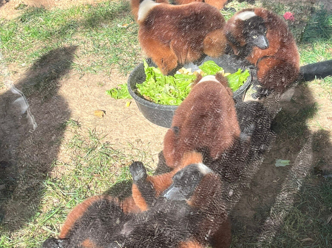 Nova Wild-维也纳必去景点